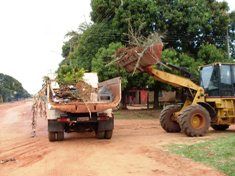 Iguatemienses fazem mutirões de limpeza