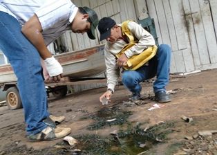 Prefeitura de Iguatemi declara Guerra contra a Dengue no município.