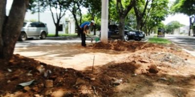 Canteiros e meio fios são recuperados pela Prefeitura em Iguatemi.