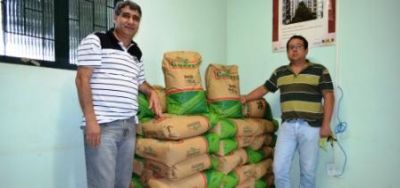 Pequenos produtores rurais de Iguatemi serão contemplados com sementes de milho.