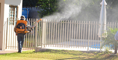 113 casos notificados com suspeita de dengue em Iguatemi
