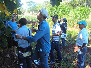 Comitiva iguatemiense participa de missão técnica em Dourados