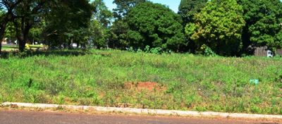Prefeitura de Iguatemi começa à multar quem joga entulhos em canteiros centrais e os donos de terrenos baldios sujos.