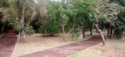Prefeitura executa manutenção no Parque natural Piray em Iguatemi. 