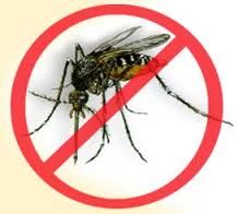 Secretaria de Saúde inicia campanha de combate a dengue em todos os bairros da cidade.