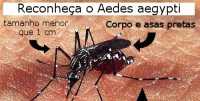 Centro Controle de Endemias concluiu primeira fase da campanha de combate à Dengue e começa a expedir multas.
