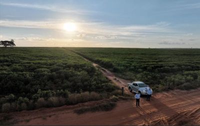 PRESIDENTE DA SOCIPAR-PR, E SECRETÁRIO MUNICIPAL DE DESENVOLVIMENTO ECONÔMICO VISITARAM PRODUÇÃO AGRÍCOLA DE IGUATEMI.