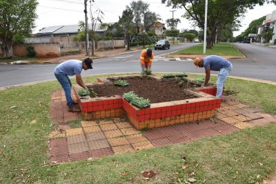 SECRETARIA DE MEIO AMBIENTE DE IGUATEMI REALIZA O PLANTIO DE MAIS DE 1500 MUDAS DE PLANTAS ORNAMENTAIS NA ÁREA CENTRAL DA CIDADE.