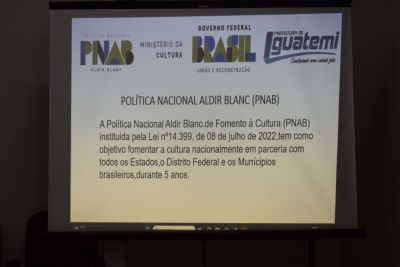 PLANEJAMENTO ANUAL DOS RECURSOS- POLÍTICA NACIONAL DA LEI  ALDIR BLANC