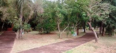 Prefeitura executa manutenção no Parque natural Piray em Iguatemi.