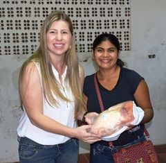 ASSISTÊNCIA SOCIAL, ATRAVÉS DO CRAS, FAZ ENTREGA DE FRANGOS E CESTAS BÁSICAS ÀS FAMÍLIAS CADASTRADAS NO PAIF.