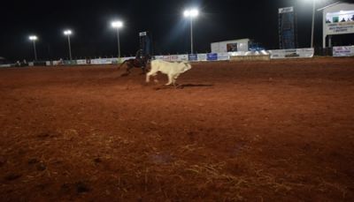 4º ENCOTRO DO CLUBE DE LAÇO ESTRÊLA, CONTOU COM A PARTICIPAÇÃO DE 380 LAÇADORES. 4º ENCOTRO DO CLUBE DE LAÇO ESTRÊLA, CONTOU COM A PARTICIPAÇÃO DE 380 LAÇADORES.