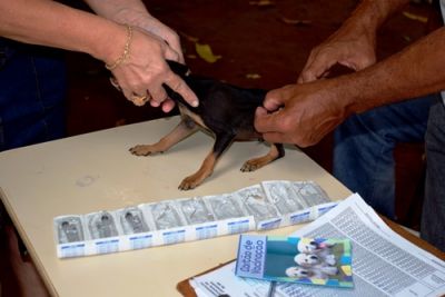 SECRETARIA DE SAÚDE REALIZARÁ VACINAÇÃO CONTRA A RAIVA NESTE SÁBADO DIA 19. SECRETARIA DE SAÚDE REALIZARÁ VACINAÇÃO CONTRA A RAIVA NESTE SÁBADO DIA 19.