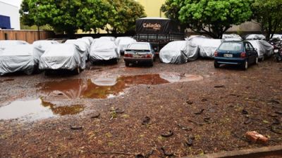 DETRAN-MS SE UNE A VIGILÂNCIA SANITÁRIA DE IGUATEMI NA LUTA CONTRA A DENGUE. DETRAN-MS SE UNE A VIGILÂNCIA SANITÁRIA DE IGUATEMI NA LUTA CONTRA A DENGUE.