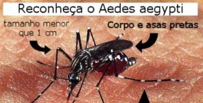 Centro Controle de Endemias concluiu primeira fase da campanha de combate à Dengue e começa a expedir multas. Centro Controle de Endemias concluiu primeira fase da campanha de combate à Dengue e começa a expedir multas.