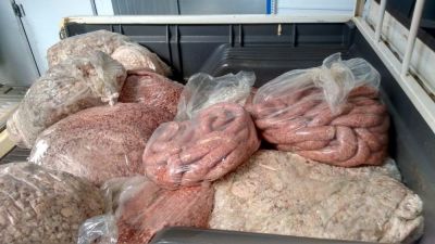AÇÃO APREENDE 4 TONELADAS DE PRODUTOS ANIMAL E VEGETAL IMPRÓPRIOS PARA CONSUMO EM MS AÇÃO APREENDE 4 TONELADAS DE PRODUTOS ANIMAL E VEGETAL IMPRÓPRIOS PARA CONSUMO EM MS