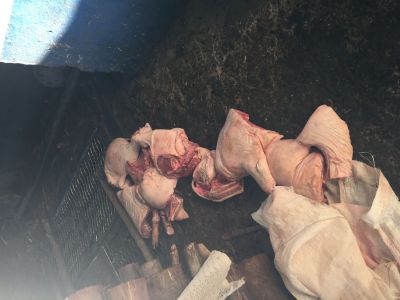 VIGILÂNCIA SANITÁRIA REALIZA APREENSÃO DE CARNE IMPRÓPRIA PARA O CONSUMO VIGILÂNCIA SANITÁRIA REALIZA APREENSÃO DE CARNE IMPRÓPRIA PARA O CONSUMO
