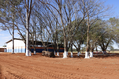 PREFEITURA MANTÉM AGENDA DE LIMPEZA URBANA PREFEITURA MANTÉM AGENDA DE LIMPEZA URBANA