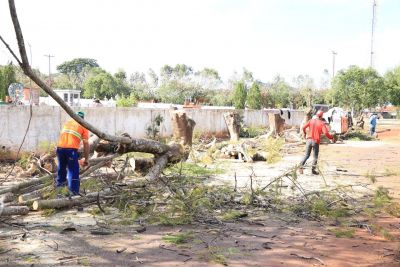 SECRETARIA DE OBRAS ESTÁ REVITALIZANDO E READEQUANDO O CEMITÉRIO MUNICIPAL. SECRETARIA DE OBRAS ESTÁ REVITALIZANDO E READEQUANDO O CEMITÉRIO MUNICIPAL.