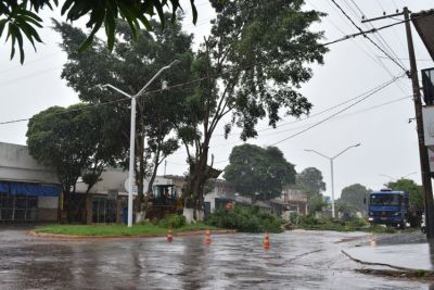 SECRETÁRIO MUNICIPAL DE OBRAS ESCLARECE SOBRE RETIRADA DE ÁRVORES NA AVENIDA GELSON ANDRADE MOREIRA SECRETÁRIO MUNICIPAL DE OBRAS ESCLARECE SOBRE RETIRADA DE ÁRVORES NA AVENIDA GELSON ANDRADE MOREIRA