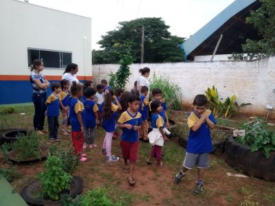 ALUNOS DA ESCOLA TANCREDO NEVES VISITAM HORTO COMUNITÁRIO DE PLANTAS MEDICINAIS.