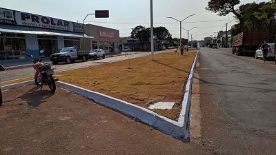 ATO DE VANDALISMO AMEAÇA ARBORIZAÇÃO NA AVENIDA GELSON ANDRADE MOREIRA. ATO DE VANDALISMO AMEAÇA ARBORIZAÇÃO NA AVENIDA GELSON ANDRADE MOREIRA.
