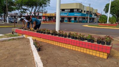 SECRETARIA DE OBRAS REALIZA REPLANTIO DE MUDAS NAS FLOREIRAS. SECRETARIA DE OBRAS REALIZA REPLANTIO DE MUDAS NAS FLOREIRAS.