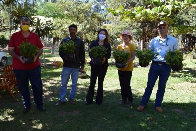 PREFEITA PARTICIPOU DA ENTREGA DE MUDAS DE ERVA-MATE PARA PRODUTORES RURAIS. PREFEITA PARTICIPOU DA ENTREGA DE MUDAS DE ERVA-MATE PARA PRODUTORES RURAIS.