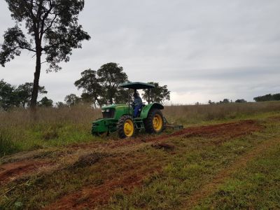 PREFEITURA REALIZOU OPERAÇÃO DE LIMPEZA NO TERRENO SEDE DA “CASA DO MEL”. PREFEITURA REALIZOU OPERAÇÃO DE LIMPEZA NO TERRENO SEDE DA “CASA DO MEL”.