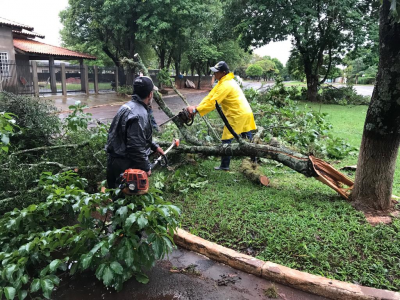 TEMPESTADE E VENTANIA DEIXOU DESTRUIÇÃO NA REDE ELÉTRICA E ÁRVORES ARRANCADAS PELAS RAÍZES EM IGUATEMI. TEMPESTADE E VENTANIA DEIXOU DESTRUIÇÃO NA REDE ELÉTRICA E ÁRVORES ARRANCADAS PELAS RAÍZES EM IGUATEMI.