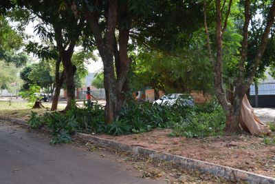 A SECRETARIA DE OBRAS REALIZA PODA PADRONIZADA EM AVENIDAS E RUAS DA CIDADE. A SECRETARIA DE OBRAS REALIZA PODA PADRONIZADA EM AVENIDAS E RUAS DA CIDADE.