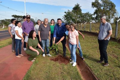 PREFEITURA DE IGUATEMI REALIZA PLANTIO DE MUDAS DE IPÊ ROXO NA ENTRADA DA CIDADE. PREFEITURA DE IGUATEMI REALIZA PLANTIO DE MUDAS DE IPÊ ROXO NA ENTRADA DA CIDADE.