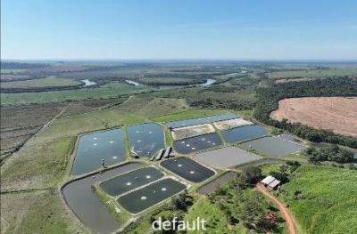 Secretário de Desenvolvimento Econômico de Iguatemi visita Omega Fish, Frigorífico de Peixes de Mundo Novo. Secretário de Desenvolvimento Econômico de Iguatemi visita Omega Fish, Frigorífico de Peixes de Mundo Novo.